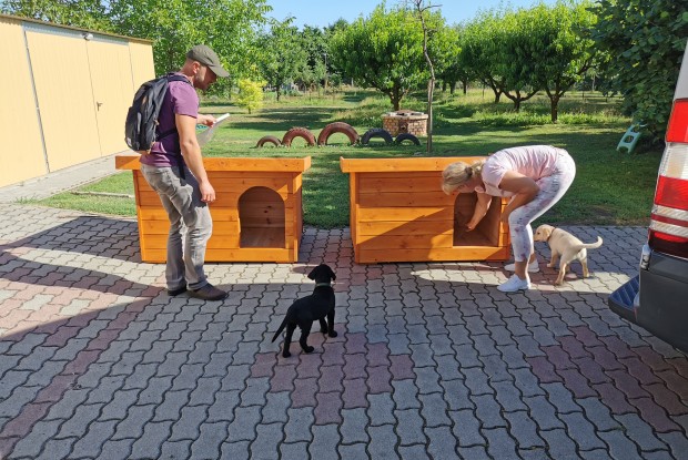 Dexter szigetelt kutyaház